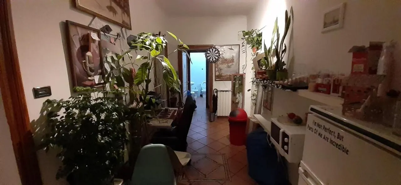 招待所 迈阿密宾馆 意大利